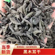 黑木耳干货肉厚秋木耳多种作用干净无杂黑木耳干手工挑选脆嫩木耳