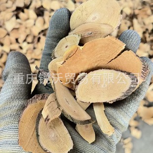 1�������l��؛��Ʒ�F������Ƭ��؛���y�������������