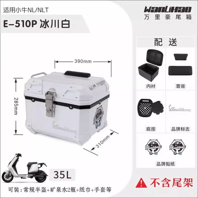 Motorcycle trunk – Trunk for Electric Scooters - mavericks-nltnl-glacier-white-510pdouble-black-backrestlining