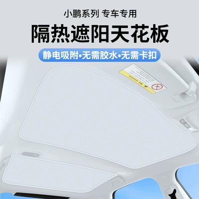 P5/g3/g9/g6 Canopy Sun Protection — Sunroof and accessories