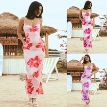 2025Rd羳W¿Ըӡ¶IoϵȼBȹ