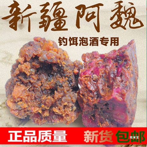 新疆五彩臭阿魏 阿魏钓饵打窝包邮真货好货
