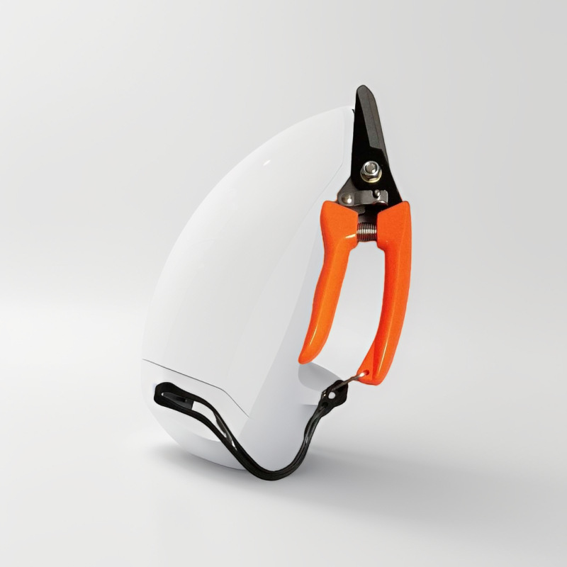 厂家直销高质量园林剪修枝剪树枝剪果枝剪摘果剪   欢迎选购