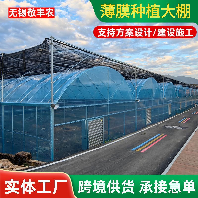 高透光抗风连栋薄膜大棚 蔬菜种植暖棚 坚固防风育苗温室大棚厂家