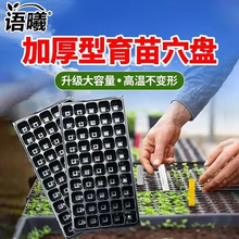 ��������Ѩ�PѨ��N��������бP�����ϲ�ݮ�����߲�50Ѩ�Ӻ���