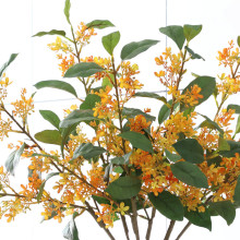 ���滨�� �Ҿ��b�С�黨�zӰ����Ұ�� �M���Ǽٻ��廨ֲ�����