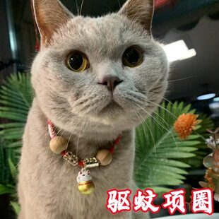 ؈����x�Ȧ���������Ȧ؈��K�L���i������������i��ʢ���S��