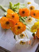 ���u�����˻��[���͏d�������b��������ϻ����[���b�