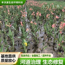 ���˽��S�ۼt����؈@�־G������ͥԺ�G�����lˮ��ֲ�����˽�����