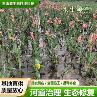 ˽Sۼt؈@־GͥԺGlˮֲ˽