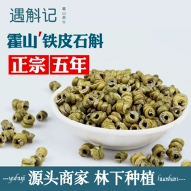 石斛/枫斗;盆栽;礼品盒