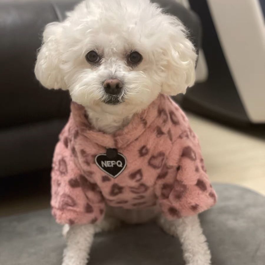 小狗衣服秋冬季保暖加厚宠物比熊博美泰迪约克夏小型犬加绒毛衣潮