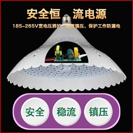 LED球泡灯;风扇灯;太阳能灯