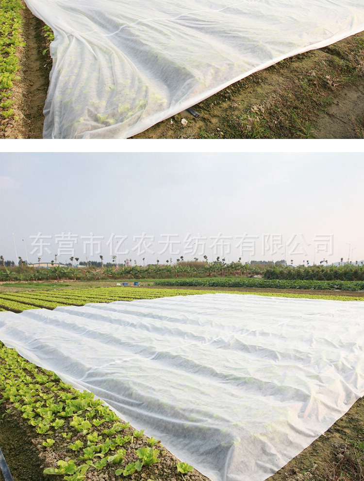 O1CN01Oi8HVF1bWgVor6stF_!!2924243473-0-cib.jpg?__r__=1722236006215