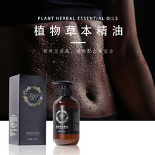 �S�����l���Ԋֲ���Ͳݱ��������ΰ�Ħ�� �o���w�� ����������