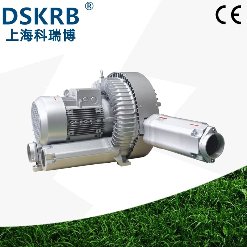 山东海阳销售2RB920 18.5KW欧标德式双叶轮气环泵 高压鼓风机厂家