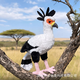 �羳�¿�������������殐�B����ë�q���Ұ��������ż��ż����