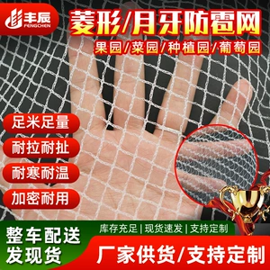 [防冰雹网聚乙烯园林葡萄果园跨境冰雹网花卉农业PE菱形月牙防鸟网]