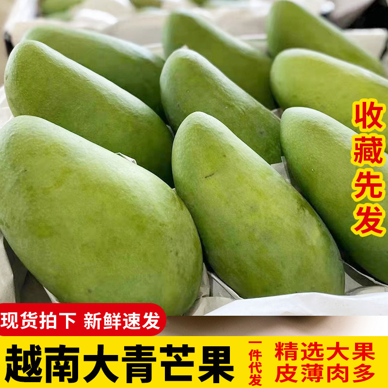 Vietnam Daqing Mang, Dajin Huang Mang, Seasonal Fresh Fruit Mango, Freshly Picked and Shipped, One Piece, 4.5kg Generation Wholesale