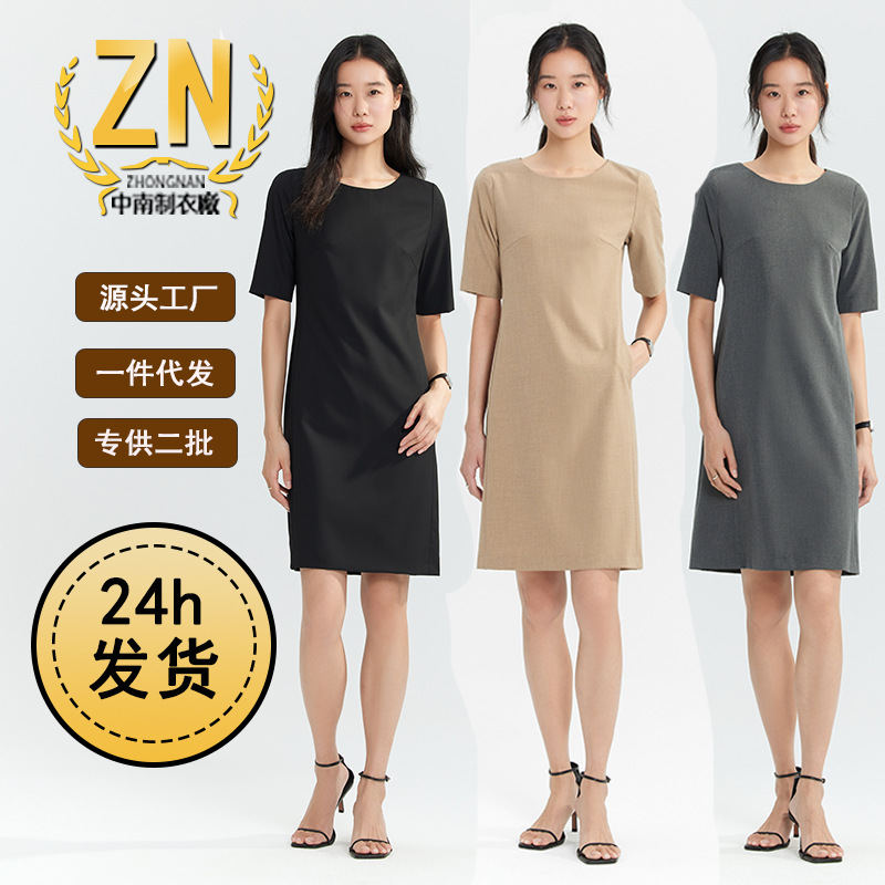 Summer professional dress