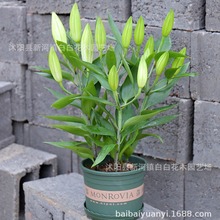 ��ˮ�ٺ������灆�ްٺ϶༾�_���ٺϻ��玧�����l؛�ļ����Ի���