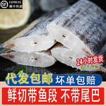 带鱼新鲜冷冻刀鱼中段海捕大号带鱼中段深海鱼鲜活海鲜冰鲜去头尾