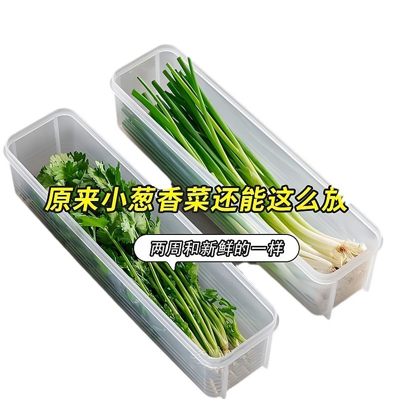 Preparación de verduras, cilantro, cebolla verde picada, caja de almacenamiento, refrigerador, artefacto de conservación de alimentos frescos con tapa portátil, preparación de fideos, cebolla verde, jengibre, ajo, conservación fresca image 6
