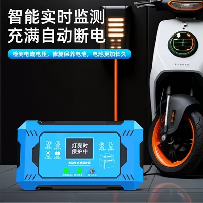 Other Electric Vehicle Accessories Activates and Extends Battery