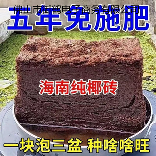 Ҭ�u�I�B�����l�B������Gֲ�������N�����S��ֱ�Nͨ����Ҭ��Ҭ��