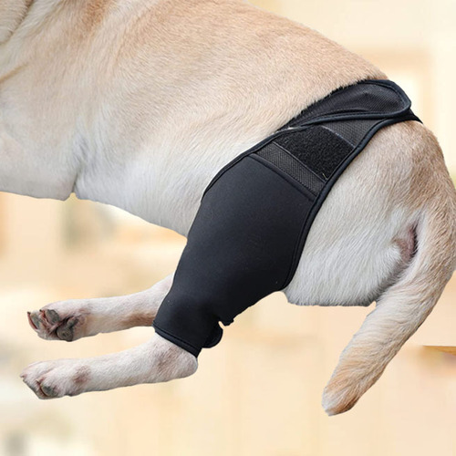 Amazon Pet Thigh Protection Sleeve Surgical Recovery Joint Support Wrap Dog Leg Guard Pet Harness Protective Cover
