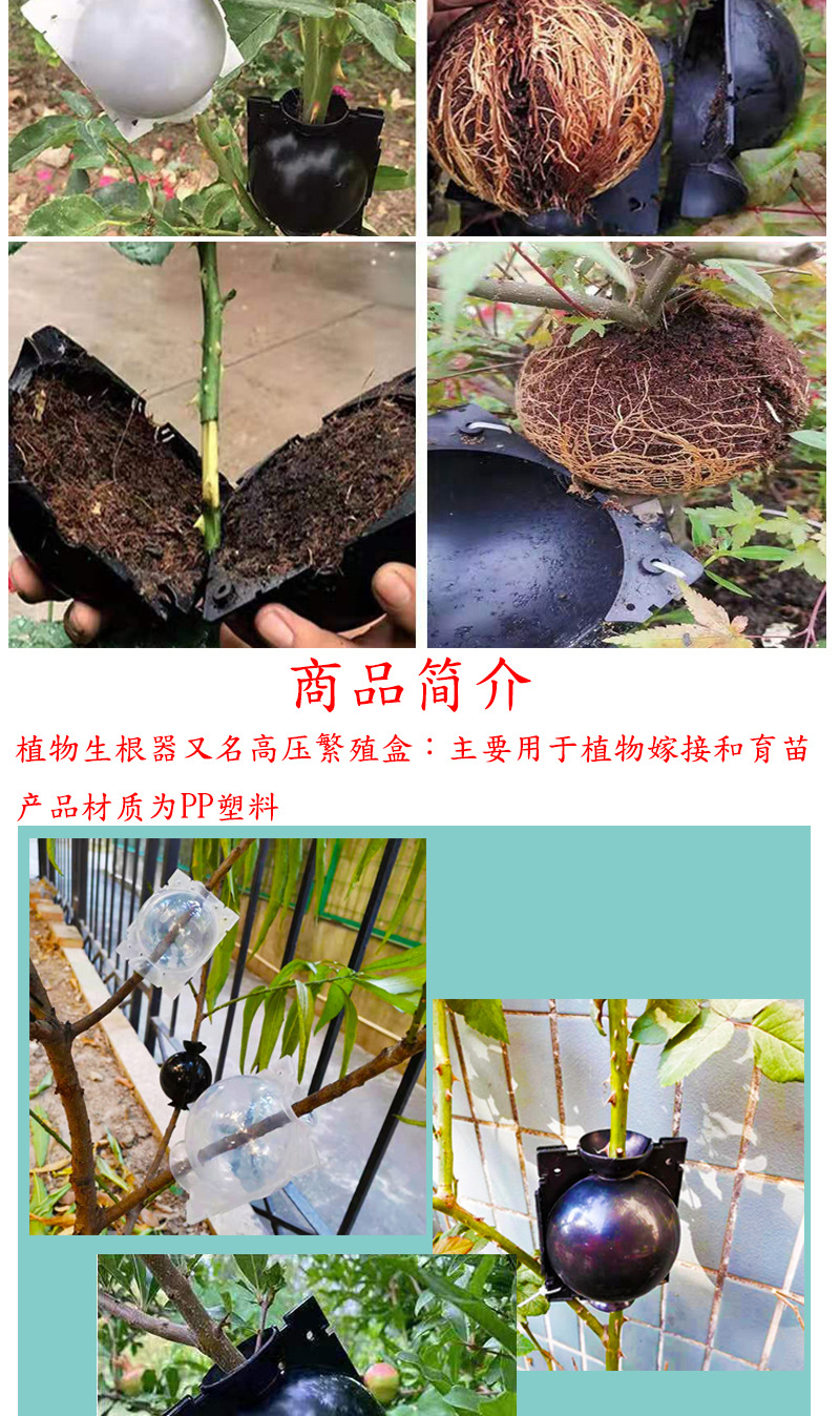 高空压枝盒植物高压繁殖球嫁接高位压条生根盒控根器盆高枝压条盒-阿里巴巴