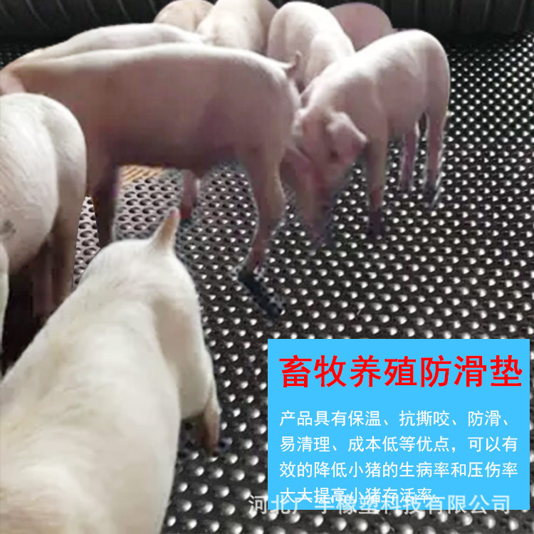 厂家直销猪舍防滑橡胶板 畜牧牛棚垫橡胶垫防潮防寒不易滋生细菌