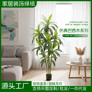 ������ط���Gֲ�߼��а���ľ���ԼҾ��҃��b�������ֲ��