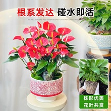 �ؼ��t�����Դ��~�����ˮ��Gֲ�����҃������辰���\���^���B