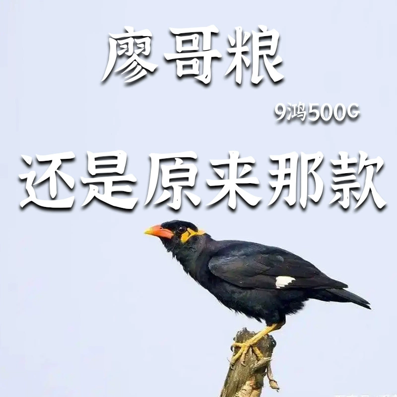 Jiuhong Mei Brother Can Ma Ge Can Can Bird Can Can Bird Food Can Food