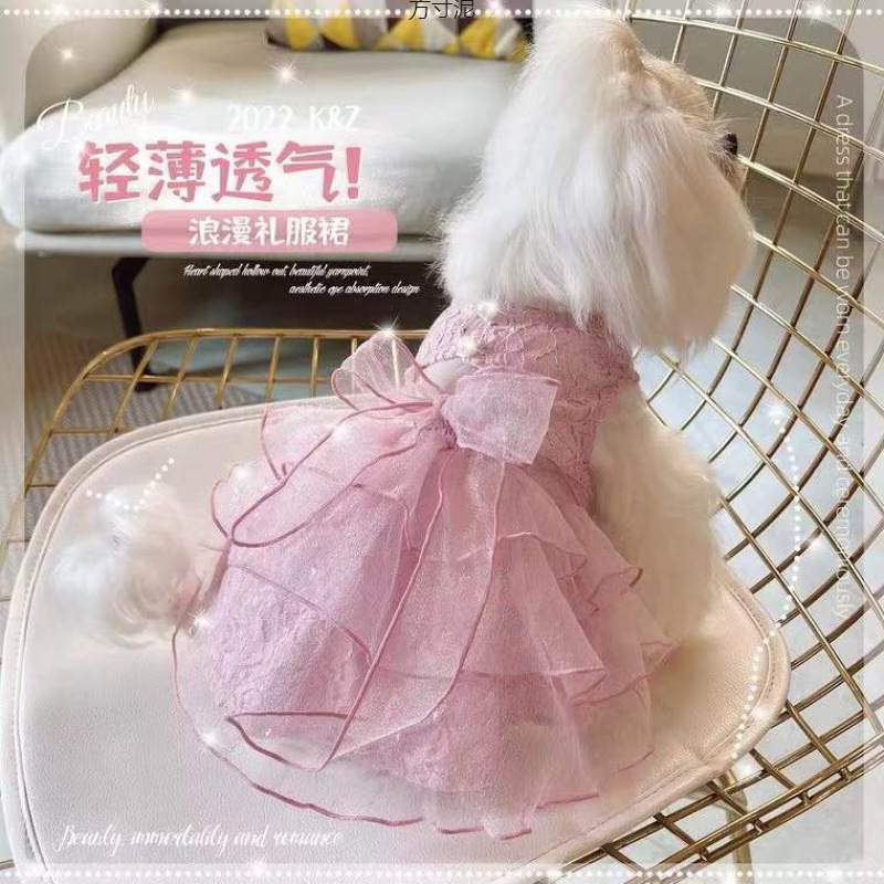 Pet Clothing for Summer: Transparent and Stretchy Waist-Revealing Suspender Dress for Dogs and Cats, Suitable for Teddy and Small-Sized Dogs