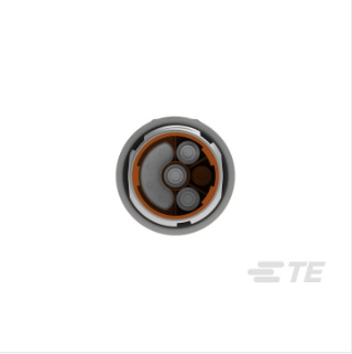 TE/̩��BKUA199NN00420200000���ؿ��ŷ������� �ֻ� �������