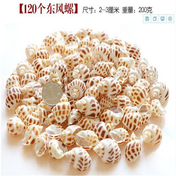 120 Dongfeng snails