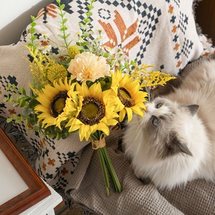 ���ӾY���������滨�Ҿ��OӋ��c�����������õ���b�CF01587