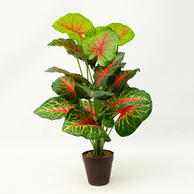 t~bֲ廨ļٻGֲG~kҔ[Сl