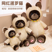 �羳��������è����ë�����è�����ޱ���˯����ż��ͯŮ������