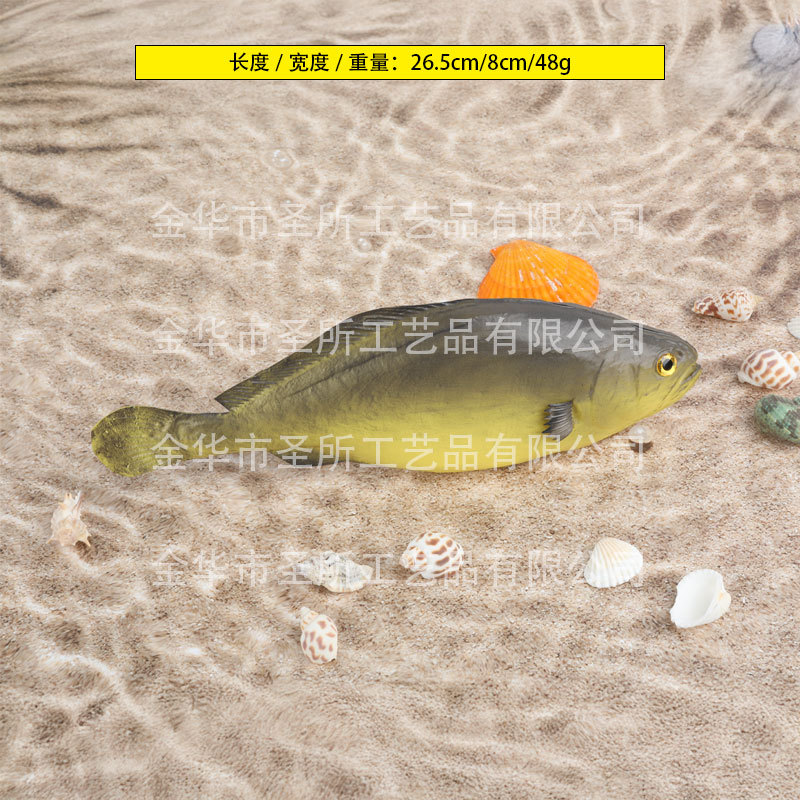 작은 노랑 민어