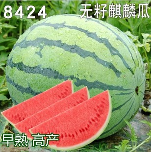 �o��������8424���ϷN������N�Ѵ�����ļ������Нh�����ϷN��