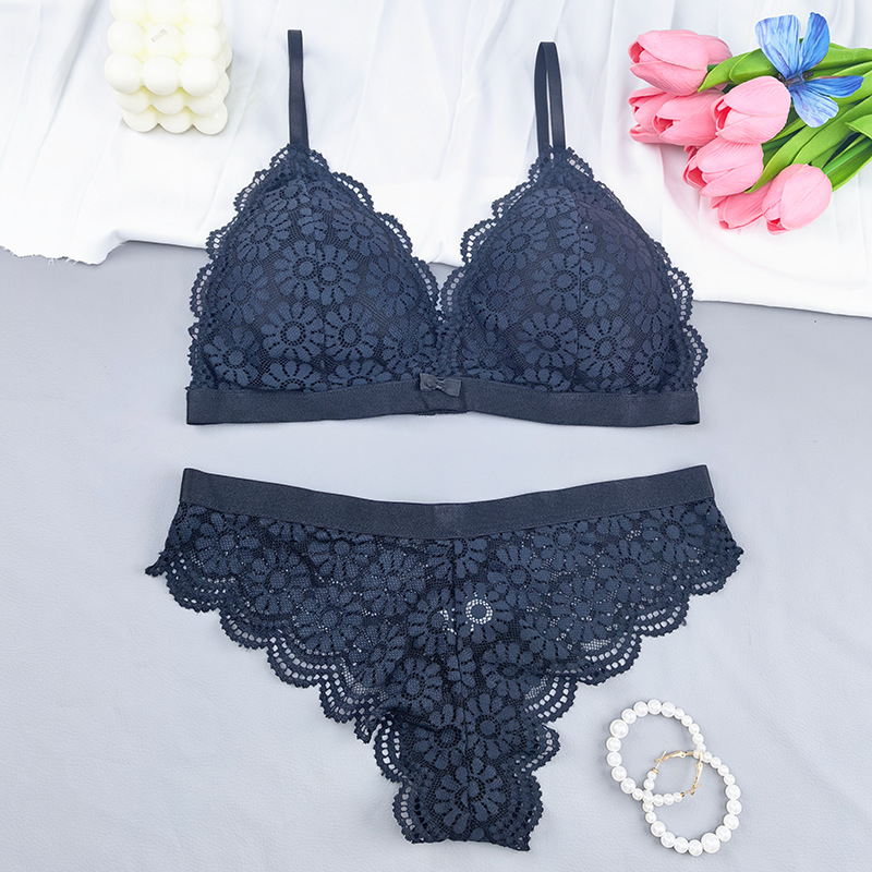 Europa y América encaje sexy copa triangular francesa cinturón hermosa ropa interior de espalda simple ligera sin anillo de acero conjunto de sujetador de pecho