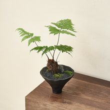 t[ާԁL҃ȿ͏d[tһ~ާֲʽ辰