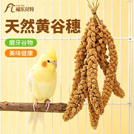 其他小宠用品;鸟笼;鸟食