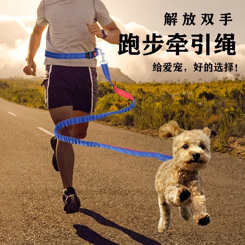 Suministros para mascotas corriendo cuerda elástica amortiguador a prueba de explosiones multifuncional perro caminando cadena pequeña y mediana correa de perro al por mayor