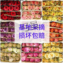 �滨õ�廨�r�������������ֱ�l���l����ˮ�B�͏d�廨�����f���]