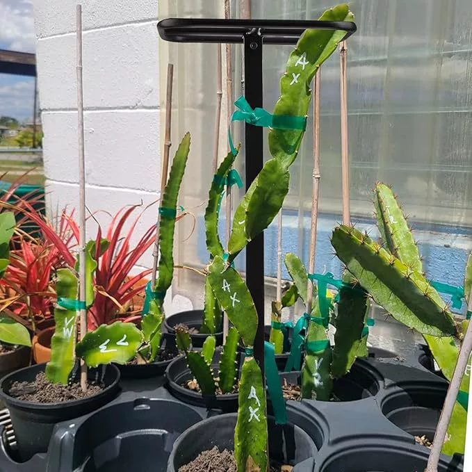 Кросс-бордерная прочная высококачественная металлическая решетка для драконьего фрукта, вертикальный сад для двора, металлическая подставка для вьющихся растений оптом