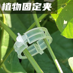 Plant Fixing Clips Plastic Vine Tying Clips Branch Clips Hanging Clips Support Clips Ivy Green Vine Clips